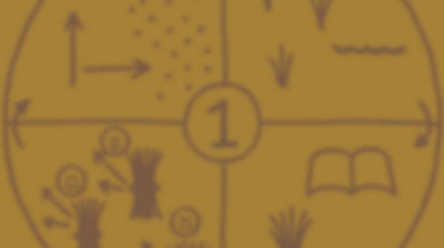 Estrategia Un Campo Una Meta